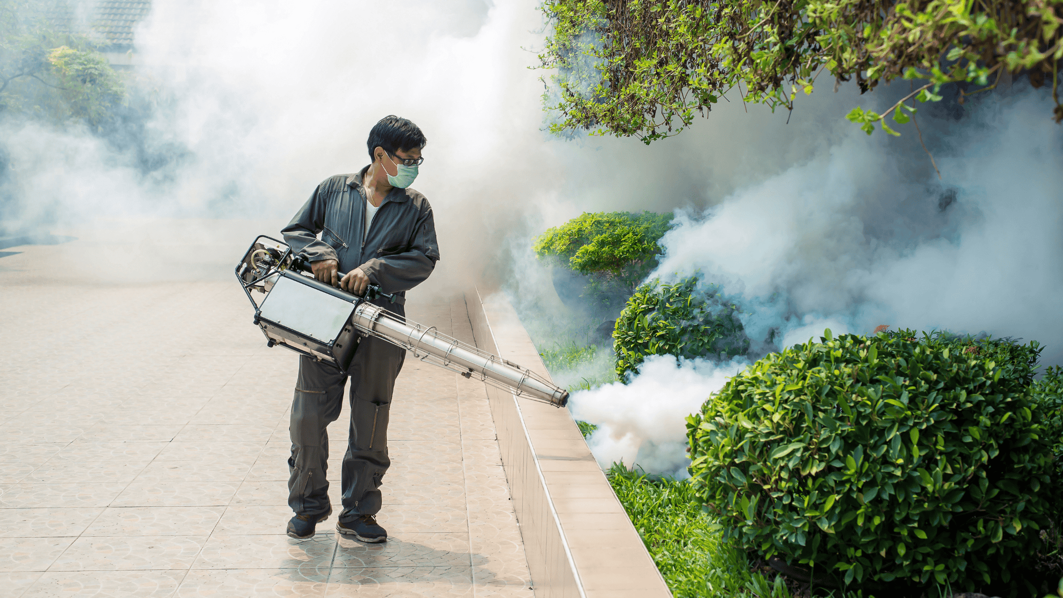 Regular Chemical Fogging