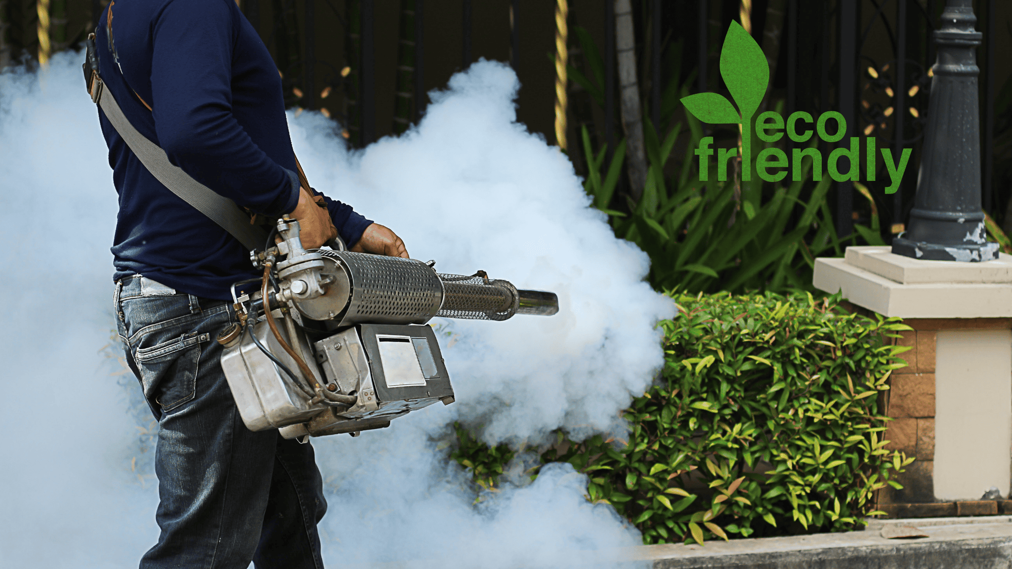 Eco Friendly and Pet Friendly Fogging